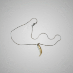 Shark Tooth Pendant With Chain